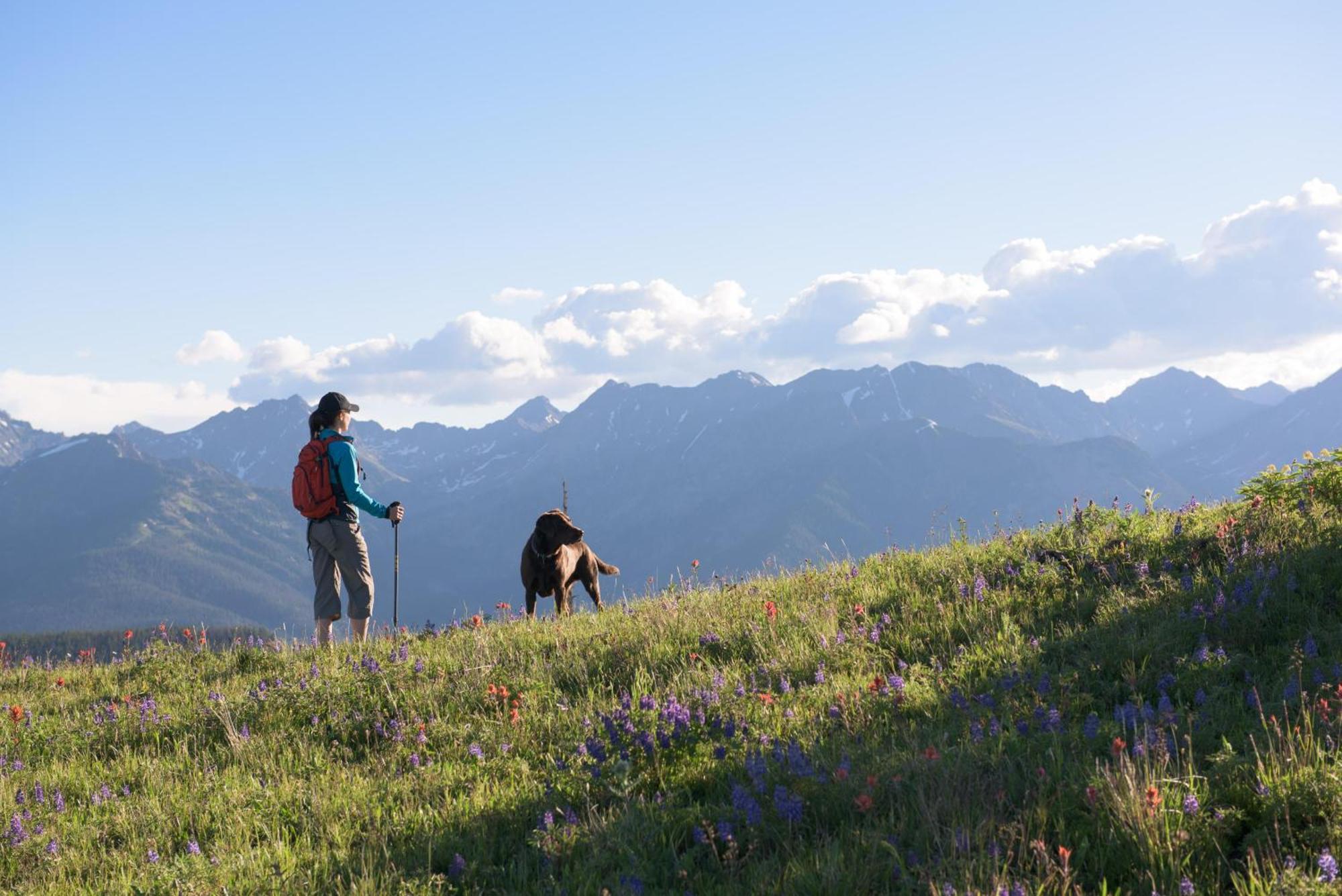 Lift House Lodge, Pet Friendly, Premium Studio Condo Vail Zewnętrze zdjęcie
